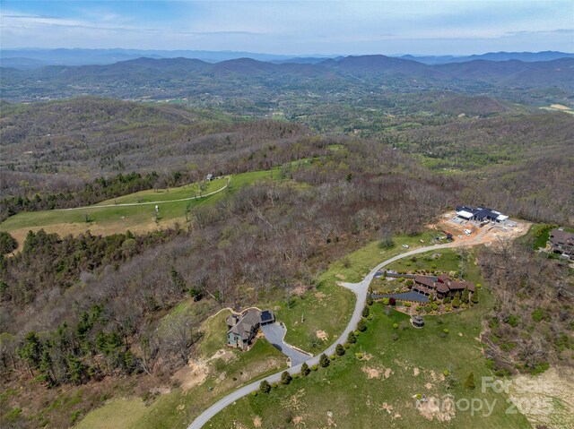 487 Grand Highlands Dr, Hendersonville, NC 28792 - photo 7