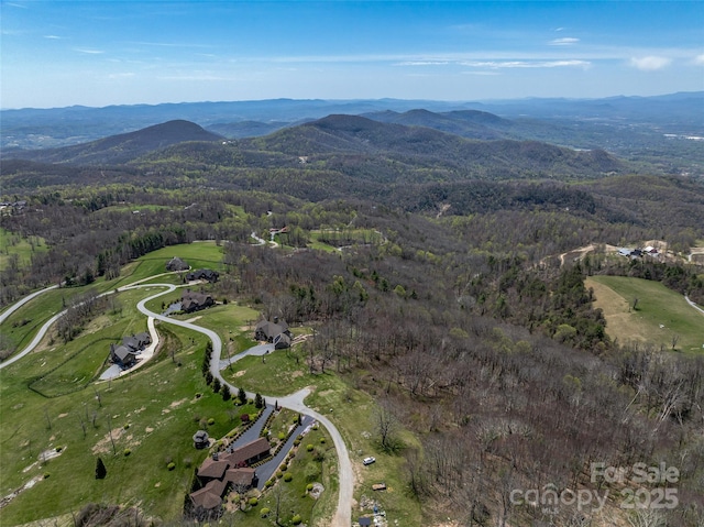 487 Grand Highlands Dr, Hendersonville, NC 28792 - photo 9
