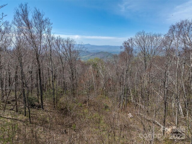 487 Grand Highlands Dr, Hendersonville, NC 28792 - photo 10
