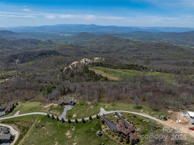 487 Grand Highlands Dr, Hendersonville, NC 28792 - photo 11