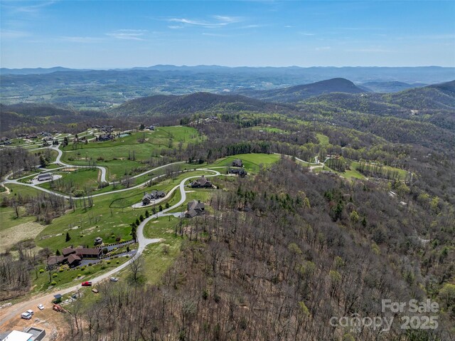 487 Grand Highlands Dr, Hendersonville, NC 28792 - photo 13