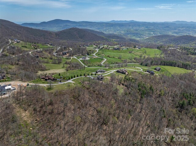 487 Grand Highlands Dr, Hendersonville, NC 28792 - photo 14