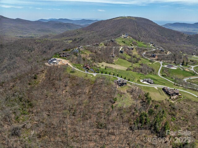 487 Grand Highlands Dr, Hendersonville, NC 28792 - photo 15