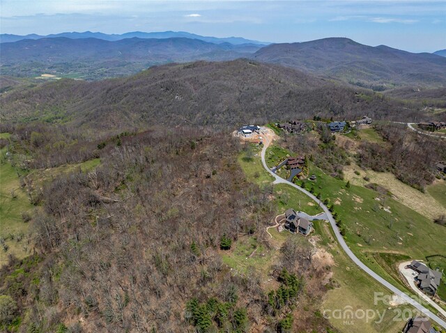 487 Grand Highlands Dr, Hendersonville, NC 28792 - photo 16