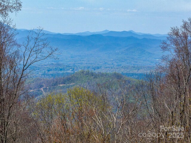 487 Grand Highlands Dr, Hendersonville, NC 28792 - photo 18