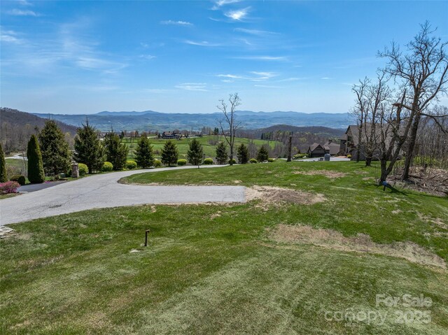 487 Grand Highlands Dr, Hendersonville, NC 28792 - photo 19