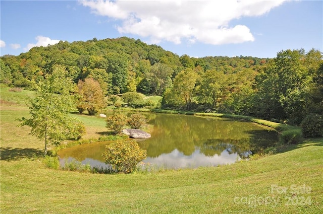 Listing photo 2 for TBD Beechwood Rd Unit 25, Hot Springs NC 28743