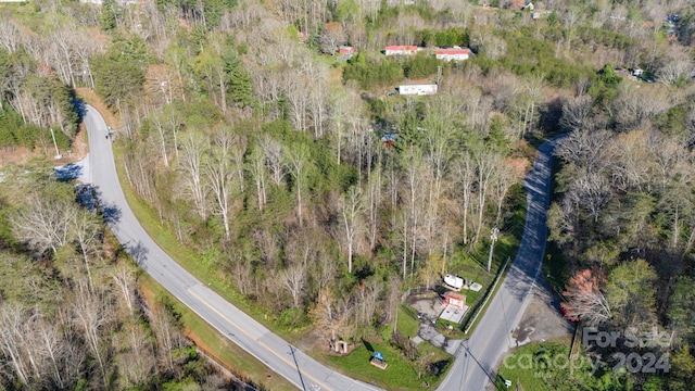 00 Canoe Ln, Asheville NC, 28804 land for sale