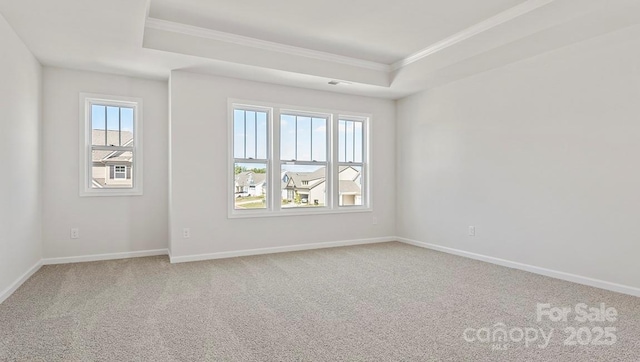 carpeted empty room with ornamental molding and a raised ceiling