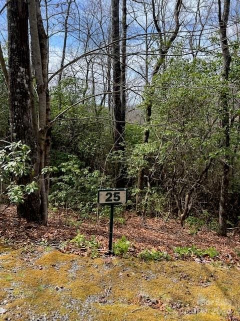 25 Sweetwater Ridge Rd, Balsam Grove NC, 28708 land for sale