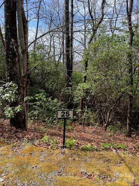 25 Sweetwater Ridge Rd, Balsam Grove, NC 28708 - photo 2