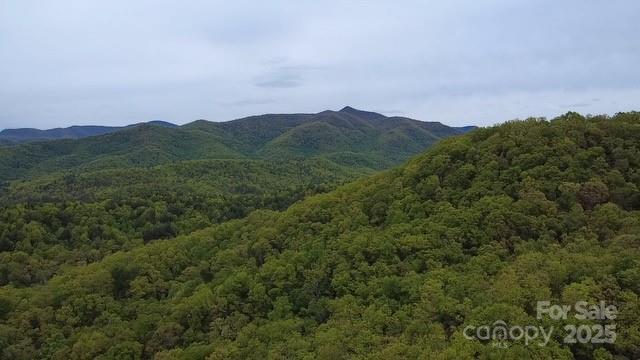 25 Sweetwater Ridge Rd, Balsam Grove, NC 28708 - photo 1