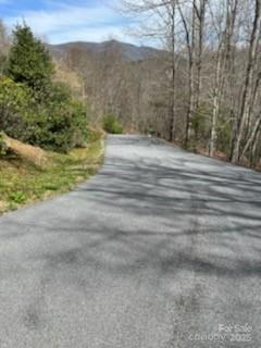 25 Sweetwater Ridge Rd, Balsam Grove, NC 28708 - photo 9