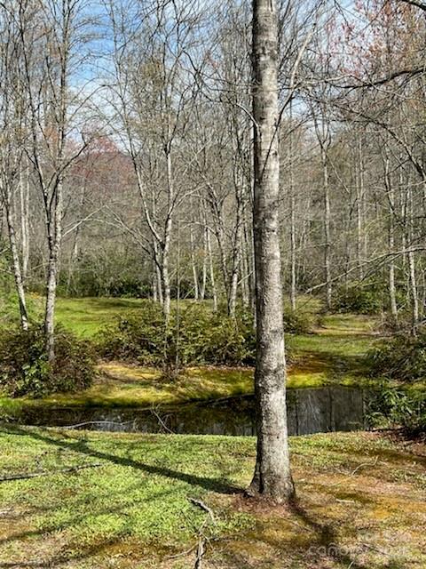 25 Sweetwater Ridge Rd, Balsam Grove, NC 28708 - photo 14