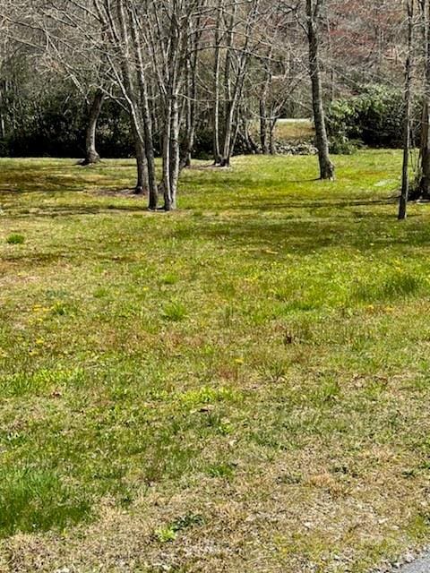25 Sweetwater Ridge Rd, Balsam Grove, NC 28708 - photo 15