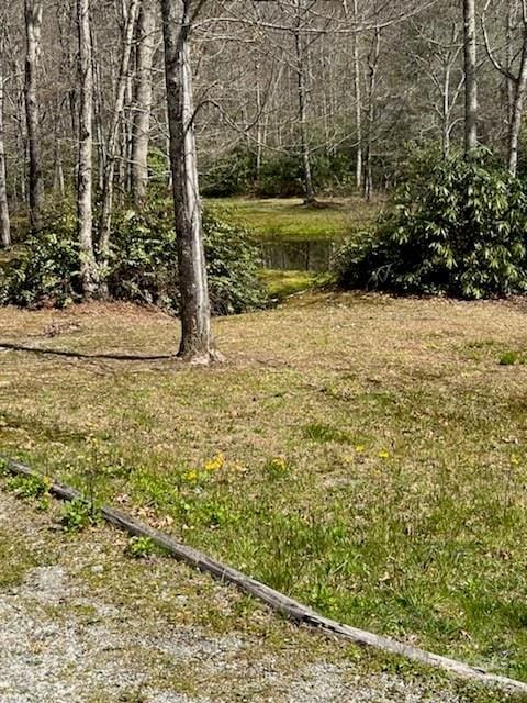25 Sweetwater Ridge Rd, Balsam Grove, NC 28708 - photo 16