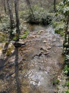 25 Sweetwater Ridge Rd, Balsam Grove, NC 28708 - photo 18