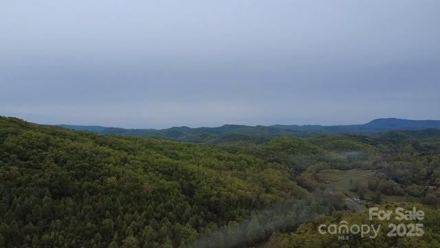 25 Sweetwater Ridge Rd, Balsam Grove, NC 28708 - photo 3