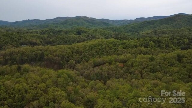 25 Sweetwater Ridge Rd, Balsam Grove, NC 28708 - photo 5