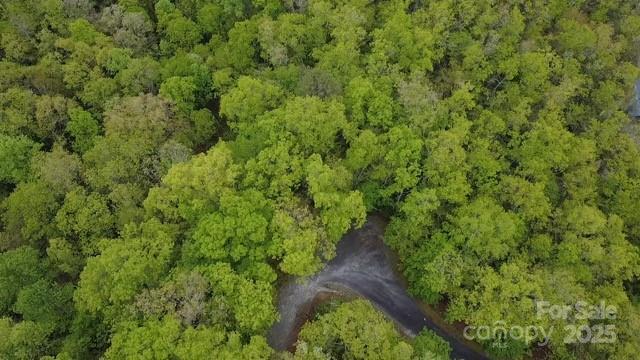 25 Sweetwater Ridge Rd, Balsam Grove, NC 28708 - photo 6