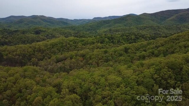 25 Sweetwater Ridge Rd, Balsam Grove, NC 28708 - photo 8