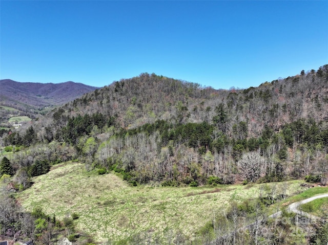 796 Upper Glady Fork Rd, Candler NC, 28715 land for sale