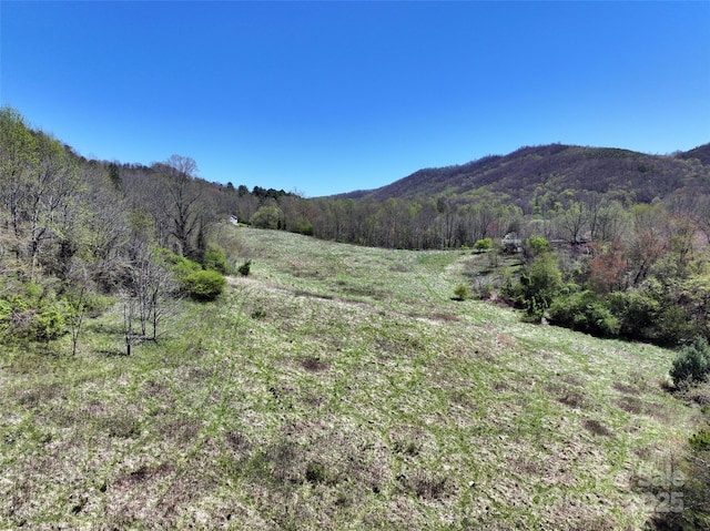 Listing photo 2 for 796 Upper Glady Fork Rd, Candler NC 28715