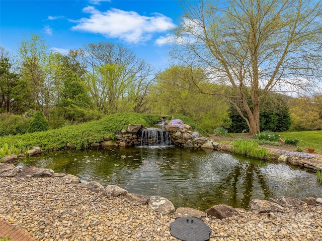 view of water feature