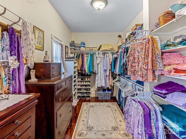 walk in closet with hardwood / wood-style flooring