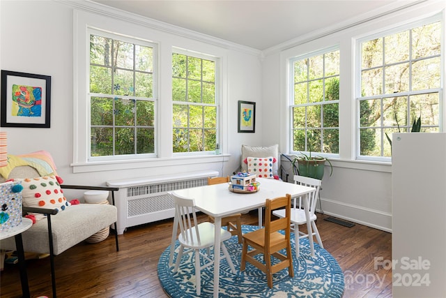 interior space featuring radiator, crown molding, and dark wood-type flooring