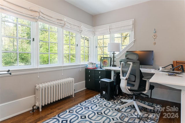 office featuring dark hardwood / wood-style flooring and radiator