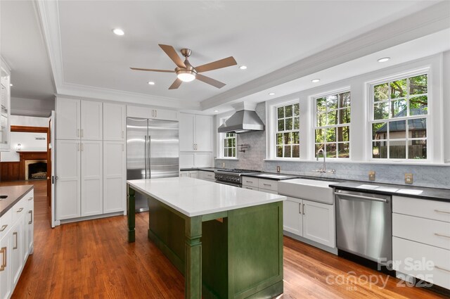 30 Cedarcliff Rd, Asheville, NC 28803 - kitchen featuring high quality appliances, wall chimney range hood, a sink, a ceiling fan, and decorative backsplash