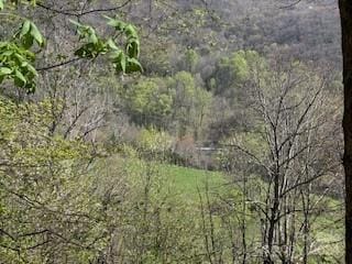 Listing photo 3 for 7A Chestnut Flats Ln Unit 7, Waynesville NC 28786