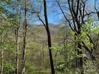 7A Chestnut Flats Ln Unit 7, Waynesville NC, 28786 land for sale