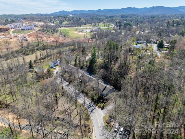 bird's eye view with a mountain view