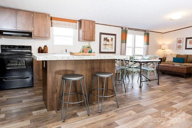 kitchen with black range, hardwood / wood-style flooring, ventilation hood, and plenty of natural light