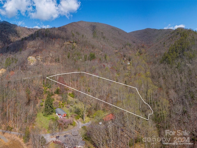 00 Sheepback Mountain Rd, Maggie Valley NC, 28751 land for sale