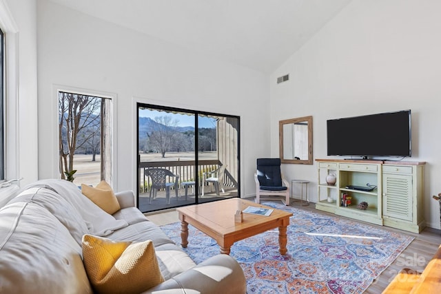 living room featuring high vaulted ceiling and light wood-type flooring