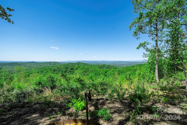 view of local wilderness