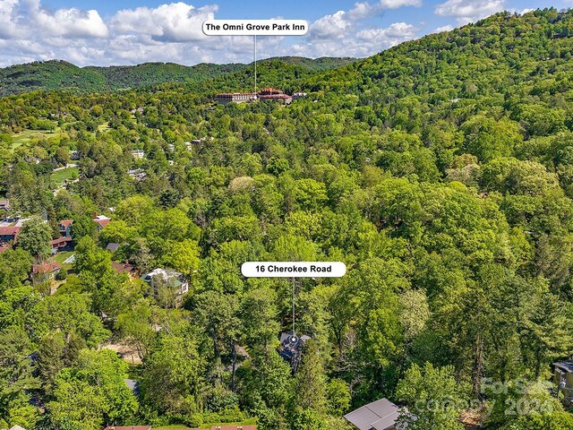 drone / aerial view featuring a mountain view