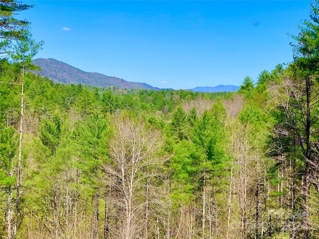 Listing photo 3 for LOT377 Table View Ln Lot 377, Lenoir NC 28645