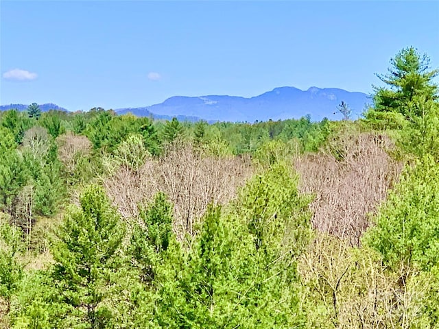 LOT377 Table View Ln Lot 377, Lenoir, NC 28645 - photo 1