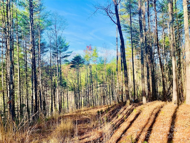 LOT377 Table View Ln Lot 377, Lenoir, NC 28645 - photo 7