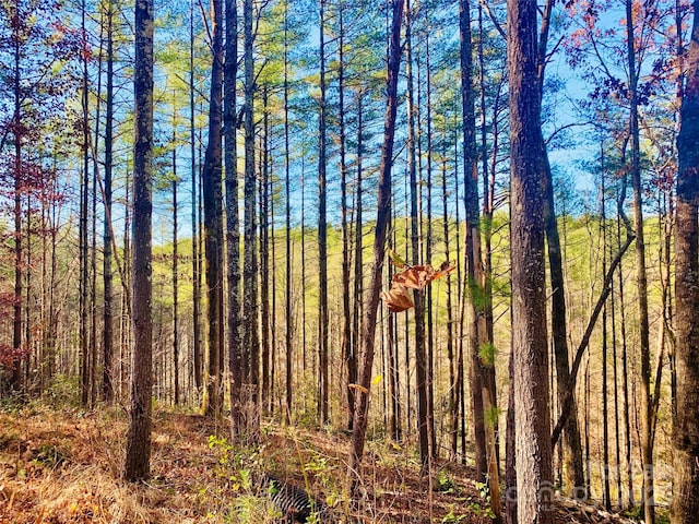 LOT377 Table View Ln Lot 377, Lenoir, NC 28645 - photo 8