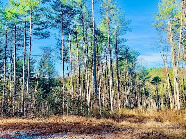 LOT377 Table View Ln Lot 377, Lenoir, NC 28645 - photo 9