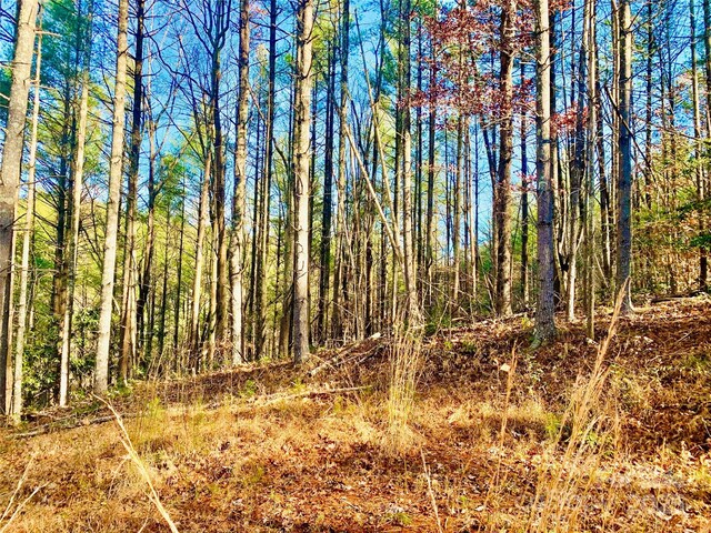 LOT377 Table View Ln Lot 377, Lenoir, NC 28645 - photo 10