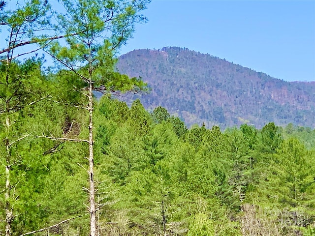 LOT377 Table View Ln Lot 377, Lenoir, NC 28645 - photo 11