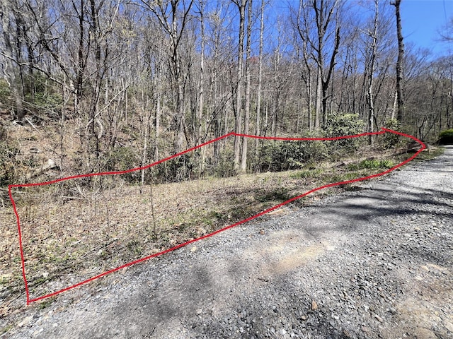000 Pisgah Mountain Rd, Canton, NC 28716
