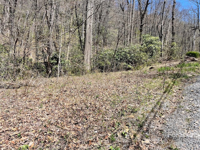 Listing photo 2 for 000 Pisgah Mountain Rd, Canton NC 28716