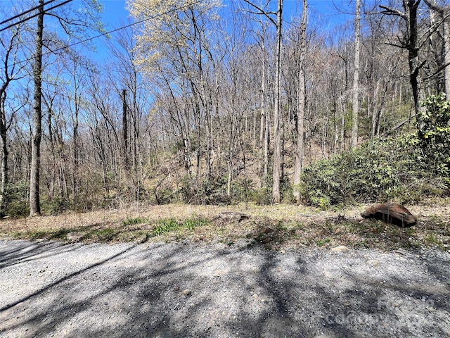 000 Pisgah Mountain Rd, Canton, NC 28716